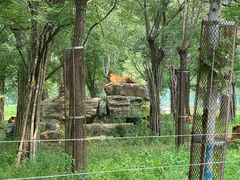-秦皇岛野生动物园