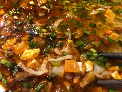 -贺秦生陕面王(富力城店)