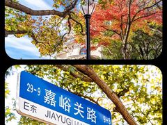 -八大关景区
