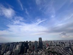-六本木新城展望台(东京城市景观)