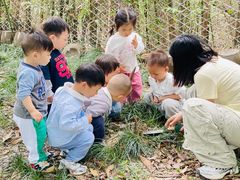 -硅谷蒙学幼儿园