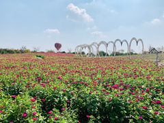 -歌斐颂巧克力小镇