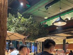 -三强鸽子(中原路店)
