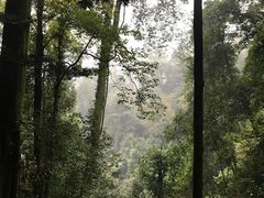 -青城山