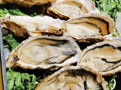乳山生蚝-鲜小岛·铜锅涮肉