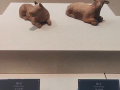 -合浦汉代文化博物馆