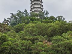 -深圳国际园林花卉博览园