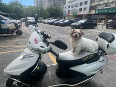 -津品味小吃(大学湾店)