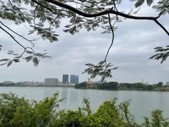 -立新湖公园