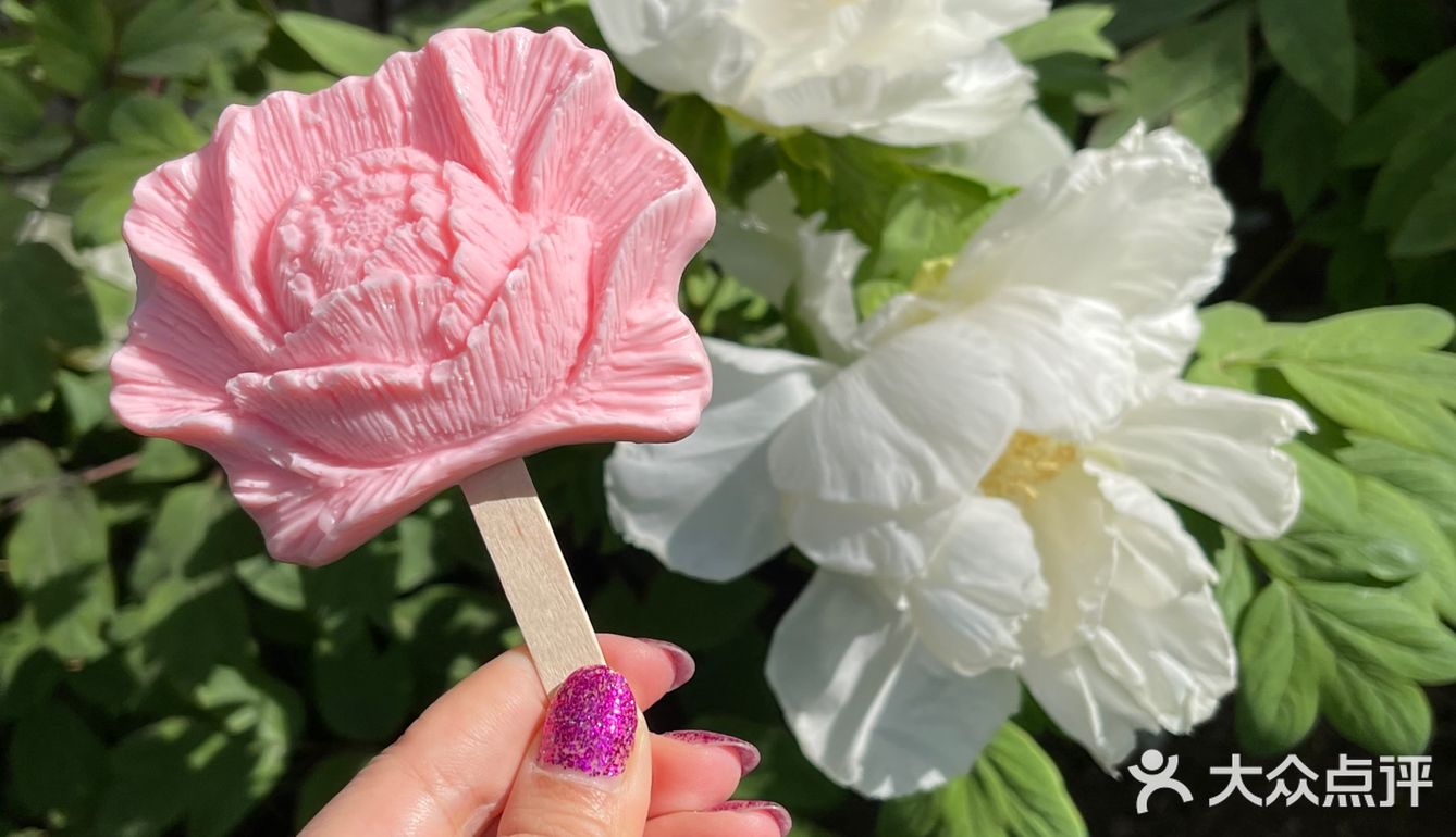 洛阳牡丹，当之无愧的花魁[亲亲][亲亲][亲亲]