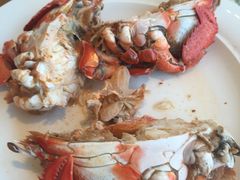 -视界美食自助餐厅·石家庄希尔顿酒店