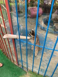 -萌宠亲子动物乐园(槐房万达店)