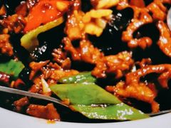 -刘胖子家常菜·蹄花焖藕(中央花园店)