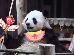 -栾川竹海野生动物园