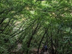 -云峰山自然风景区