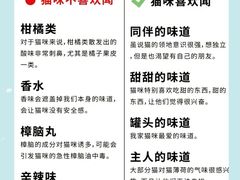 -翊宠yipet猫狗购宠庄园犬舍•猫舍