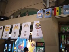 -猫咪博物馆(顶澳仔猫街店)