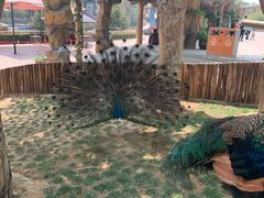 -辛玛王国游乐园