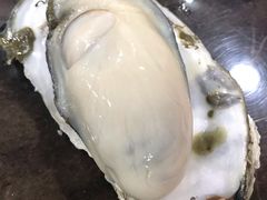 桑拿蚝-蚝专家(北滘店)
