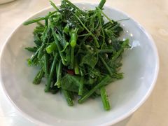 凉拌丝瓜尖-帕米尔食府(白云观店)