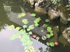 -苏州文旅花间堂·探花府酒店