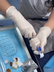 -维多利亚医疗美容医院