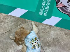 -美联众合动物医院·24h转诊中心