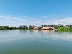 -上海长兴岛郊野公园