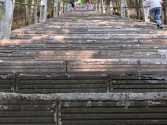 -窦圌山风景区