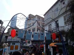 -猫咪博物馆(顶澳仔猫街店)