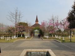 -成都南湖公园