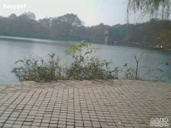 -紫霞湖公园