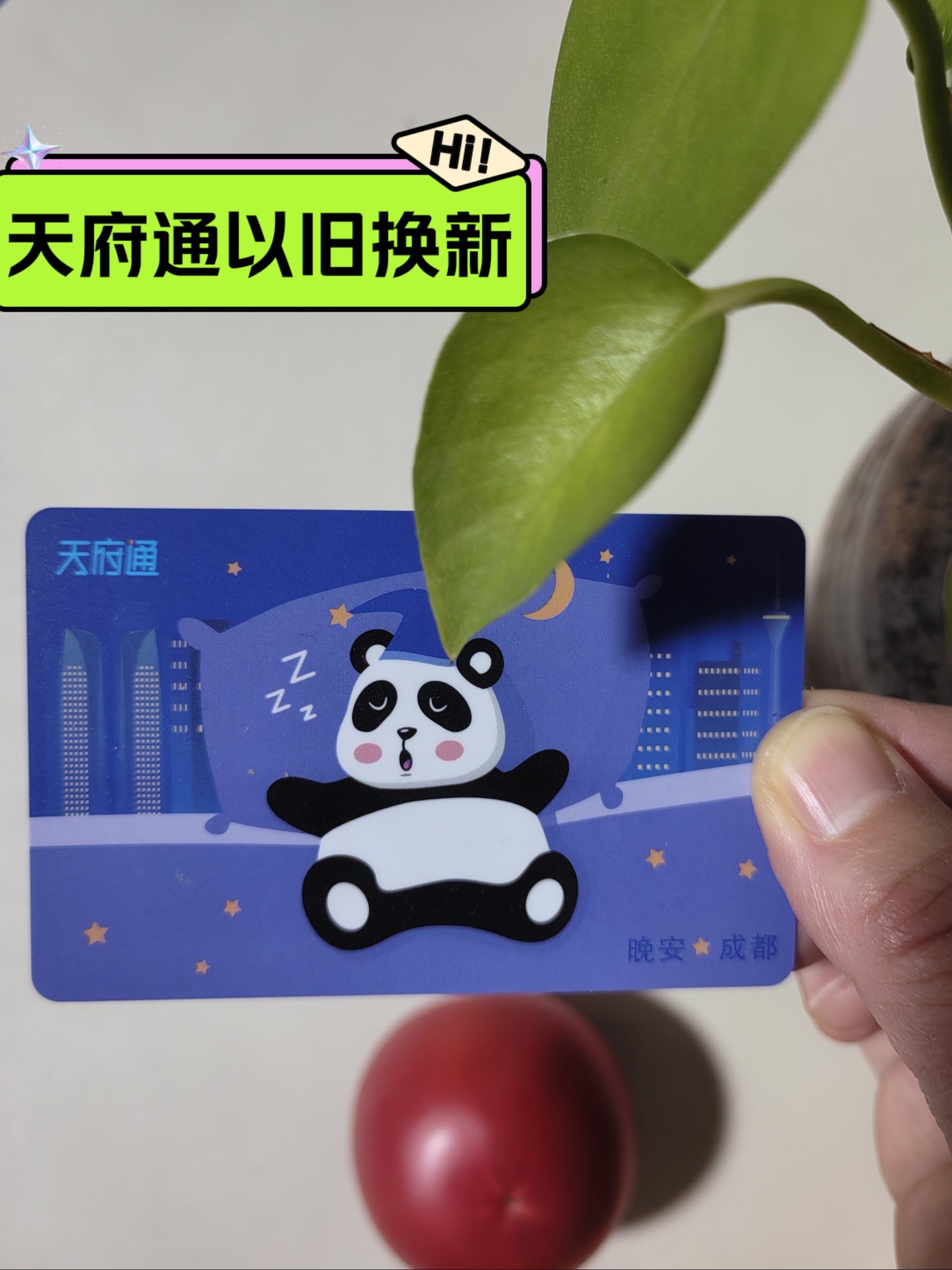 哇塞,我换到了成都天府通的新卡.居然是成都的标志大熊猫