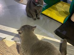 -小时光咖啡馆(开森度假森林店)