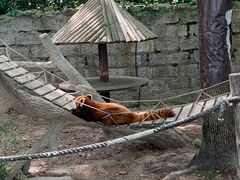 -上海野生动物园
