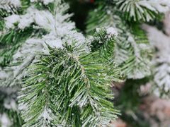 -石林冰雪海洋世界