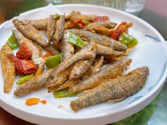 -小小饭店·休闲农庄·安吉松树林里的农家菜