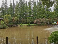 -瀛洲公园