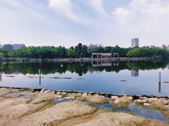 -滨湖塘西河公园