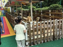 -广州长隆国际大马戏