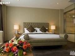 COL_3262-上海如意智慧酒店(上海科学院店)