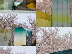 -龙美术馆(西岸馆)