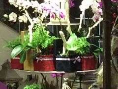 iphone_upload_pic-婷意花宇TheGracesFloral(北外滩店)