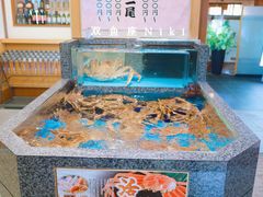 -蟹道乐(梅田店)