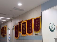 -中农国际动物医院24小时·猫科·骨科·急重症中心