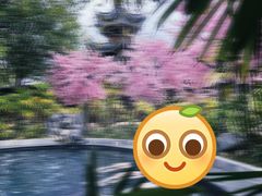 -剑河仰阿莎温泉小镇