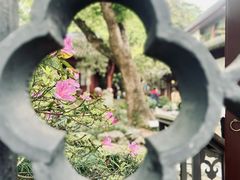 -西泠印社