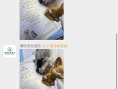 -博特宠物医院24h犬猫全科.骨科·异宠
