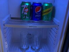 -香港皇家太平洋酒店