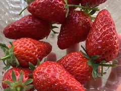 -德克士(北大街店)